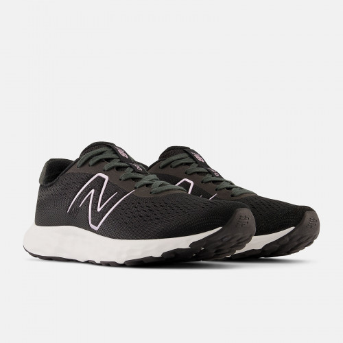 Женские кроссовки New Balance 520v8